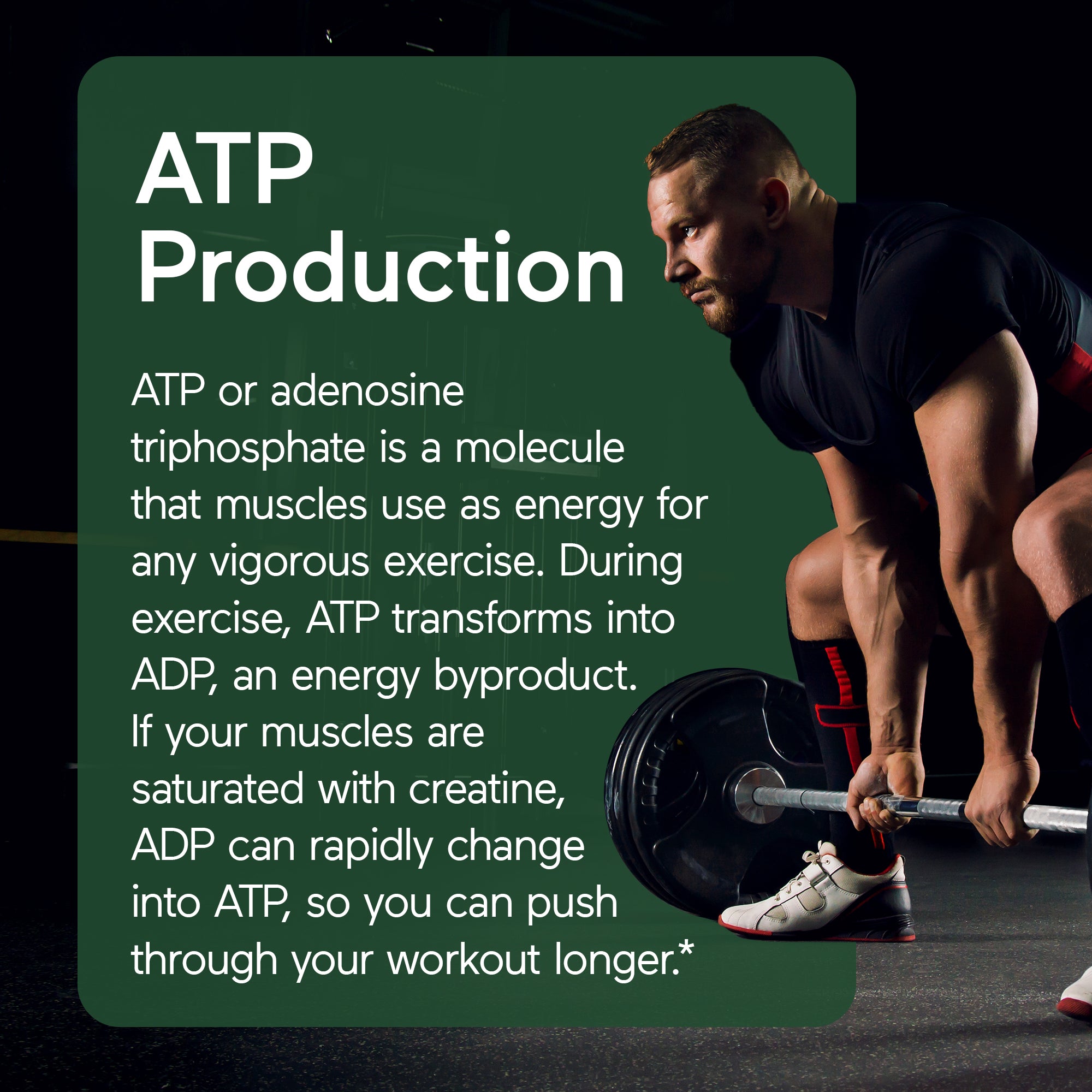 Smarter Creatine Monohydrate Powder