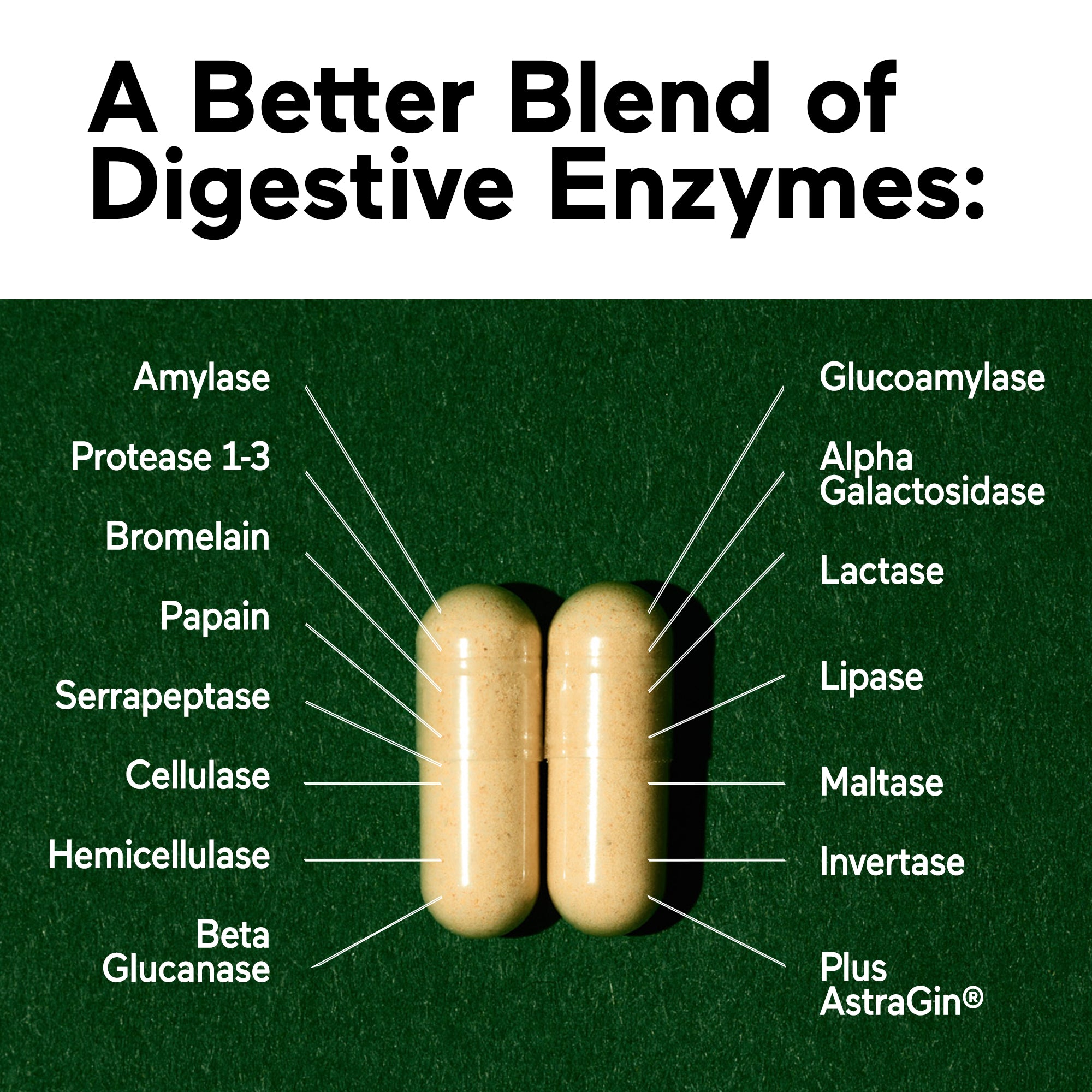 Two digestive enzyme capsules with labeled components on a green background