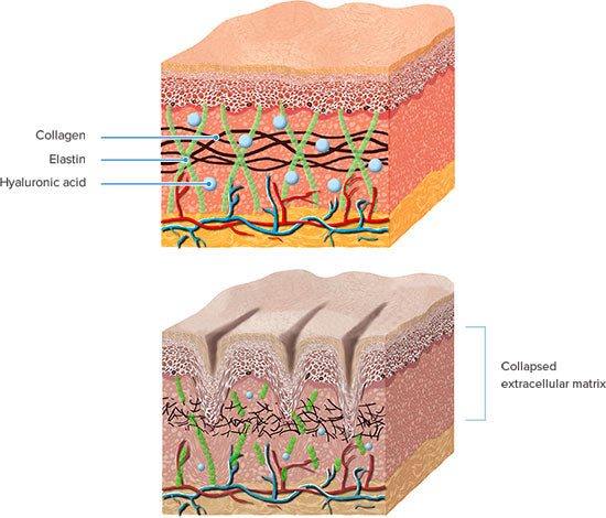 Smart Collagen Supplement